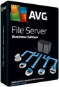 Obrázek AVG File Server Edition, licence pro nového uživatele, počet licencí 2, platnost 1 rok